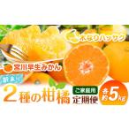 みかん 好きのためのみかん2種定期便 全2回