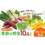 セット 詰合せ 野菜 季節の野菜 10品