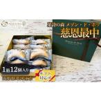 和菓子 もなか 慈恩最中 12個入り