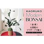 家具 装飾品 KAORUKO Modern