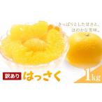 みかん 柑橘類 はっさく 訳あり 1kg