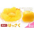 みかん 柑橘類 はっさく 訳あり 4kg