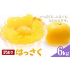 みかん 柑橘類 はっさく 訳あり 6kg