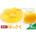 みかん 柑橘類 はっさく 訳あり 9kg
