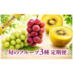 ぶどう マスカット 通年受付 南アルプス産