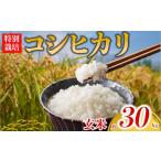 特別栽培米 コシヒカリ 約30kg×1