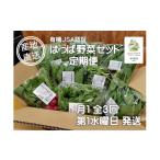 野菜類 農園直送 はっぱ屋のはっぱ野菜セット定期便