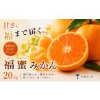 果物類 みかん いま注目されています 濃密な甘さ