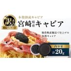 魚貝類 キャビア 訳あり 本格熟成キャビア