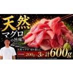 天然マグロ切り落とし 200g×3P│天然マグロ