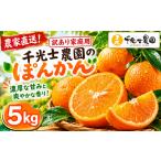 みかん 柑橘類 令和9年 千光士農園のポンカン 5kg