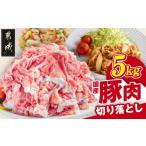 ふるさと納税 豚肉 モモ 宮崎県 都城市 国産豚肉切り落とし5kg(250g×20P)_MJ-89-008-5kg_(都城市)