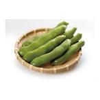 豆類 予定 そらまめ 約2kg