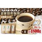 コーヒー コーヒー豆 6カ月定期便 ann