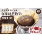 コーヒー コーヒー豆 3カ月定期便 ann