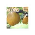 梨 プレミアム王秋梨 4kg_王秋梨 和梨