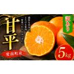みかん 柑橘類 先行受付 訳あり 甘平 5kg