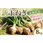 野菜類 玉ねぎ 訳あり 土付き 新たまねぎ 8kg