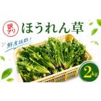 野菜類 玉ねぎ 訳あり ほうれん草 2kg