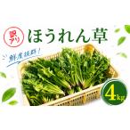 野菜類 玉ねぎ 訳あり ほうれん草 4kg