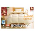 タオル 寝具 掛け布団 冬用 洗える 羽毛布団