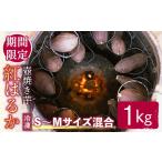 野菜類 サツマイモ 受付中 予定 冷凍壺焼き芋