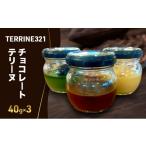 ケーキ カステラ チョコレートテリーヌ40g×3