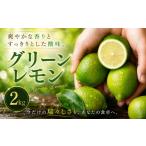 みかん 柑橘類 レモン 選び抜いた一箱 鮮烈な酸味