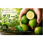 みかん 柑橘類 レモン 選び抜いた一箱 鮮烈な酸味