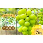 ご シャインマスカット 5kg