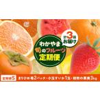 果物の詰合せ わかやま旬のフルーツ 定期便