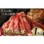 牛肉 すき焼き 定期2回 訳あり 定期便 切り落とし