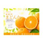 みかん 柑橘類 まどんな 3kg