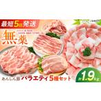 豚肉 バラ あんしん豚のバラエティセット 5種