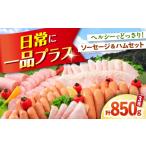 肉 ハム ハムセット 850g
