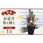 花 苗木 お正月寄せ植え アトリウム琴花園