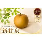 梨 2027年発送分先行受付 新甘泉 赤秀 2.5kg