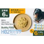 魚貝類 全6回定期便 Buddy FOOD