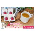 お茶類 ハーブティー ラズベリーリーフティー 12パック