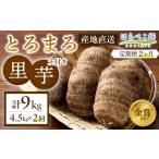 野菜類 サツマイモ 定期便2ヶ月 さつまいも