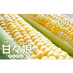 とうもろこし 2027年夏発送予約 甘々娘