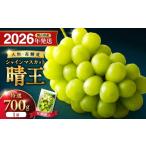 産シャインマスカット 晴王 特選 大房 化粧箱入