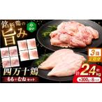 四万十鶏 おいしいとこ鶏 セット もも肉 むね肉