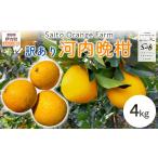 果物類 みかん Saito Orange Farmの訳あり河内晩柑4kg