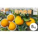 果物類 みかん Saito Orange Farmの訳あり河内晩柑8kg
