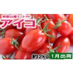 和歌山産ミニトマト アイコトマト 約2kg