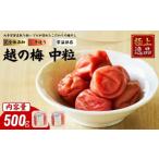 梅干 漬物 キムチ 及川農園 梅干し 越の梅 中粒 500g