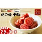 梅干 漬物 キムチ 及川農園 梅干し 越の梅 中粒 2.0kg
