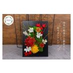 花 苗木 プリザーブドフラワー 紅芭 いろは