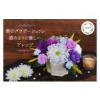 花 苗木 プリザーブドフラワー 藤霞 ふじかすみ